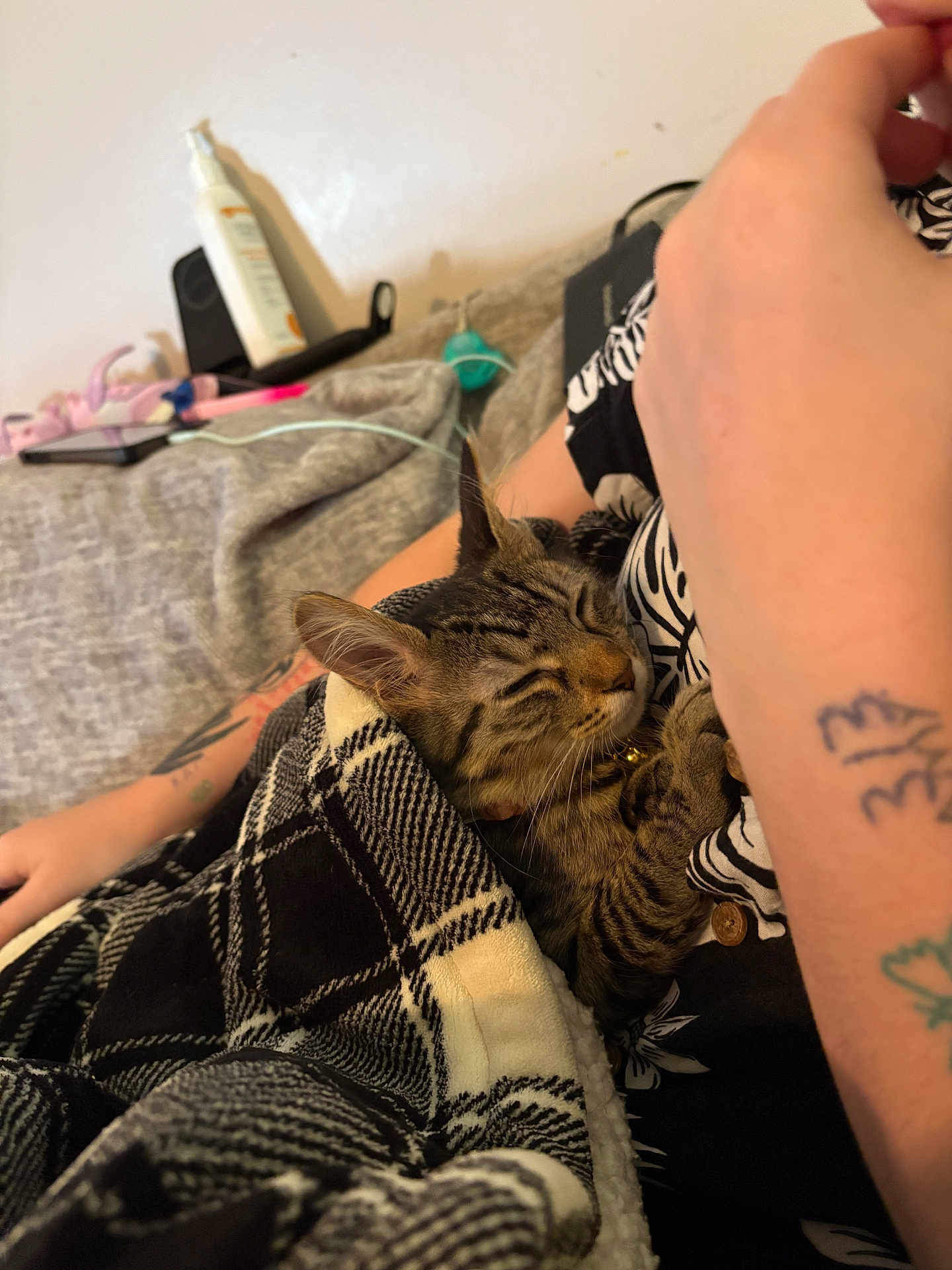 Lucy Lee is registered to the contest to win money with this photo: cat, kitten, sleeping, blanket, plaid, tattoo, arm, person, indoor, cozy, resting, fur, striped_cat, hand, couch, phone, lotion, cable, black_and_white, floral_shirt