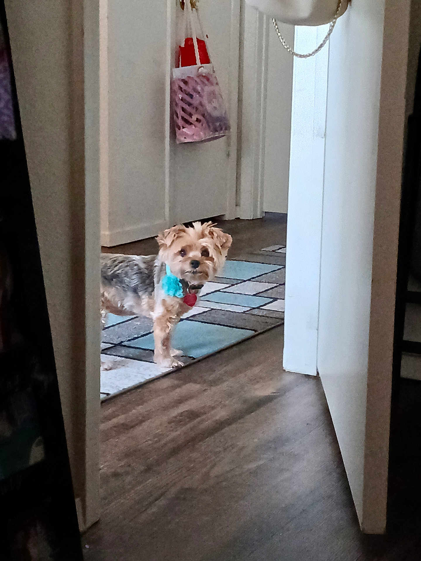Lucy