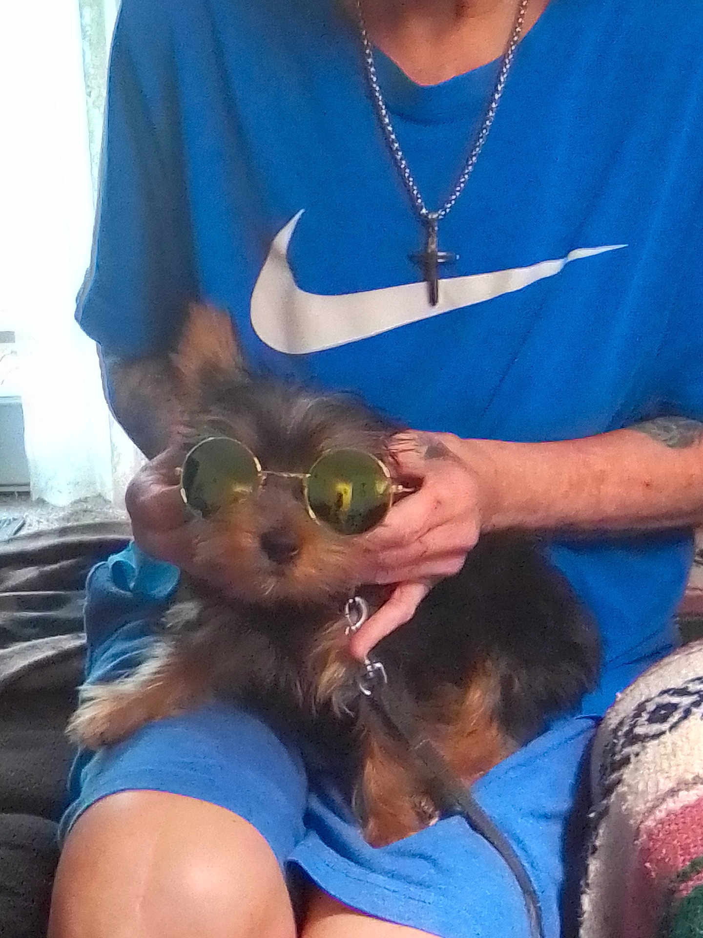 Duke joined the competition — help win amazing prizes! dog, sunglasses, person, blue_shirt, nike_logo, indoor, casual, pet, hands, sitting, leash, fur, small_dog, accessory, relaxing, comfort, portrait, cool, cute, companion
