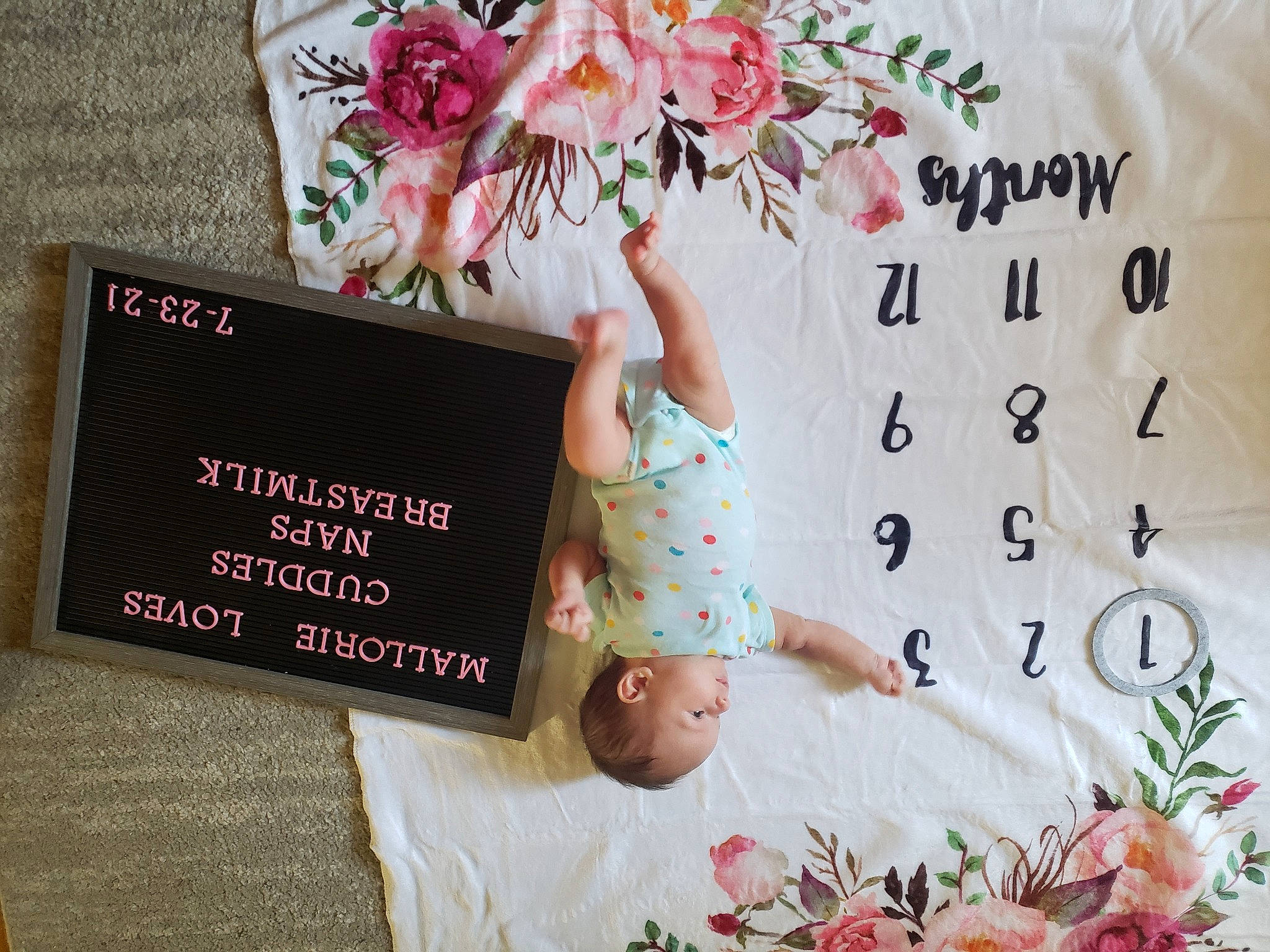 Mallorie joined the competition — help win amazing prizes! beauty, cut_flowers, design, event, floral_design, flower, flower_arranging, font, grass, happy, magenta, pattern, peach, petal, pink, plant, rectangle, room, rose, rose_family