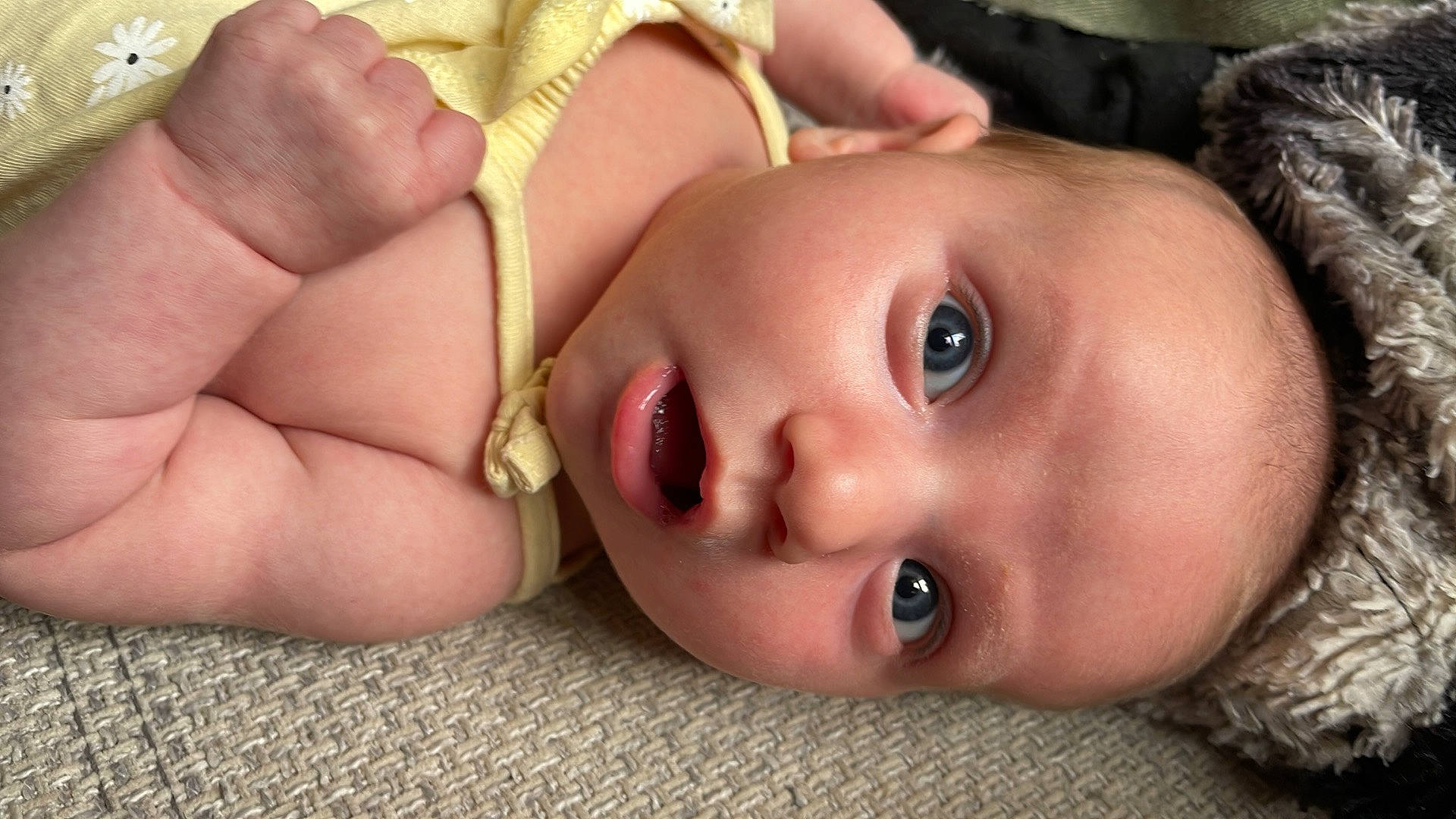 Ambre participe au concours pour gagner de l'argent avec cette photo : baby, cheek, chest, child, chin, close_up, eyebrow, eyelash, grass, happy, headgear, human_body, iris, lip, mouth, neck, nose, person, plant, skin