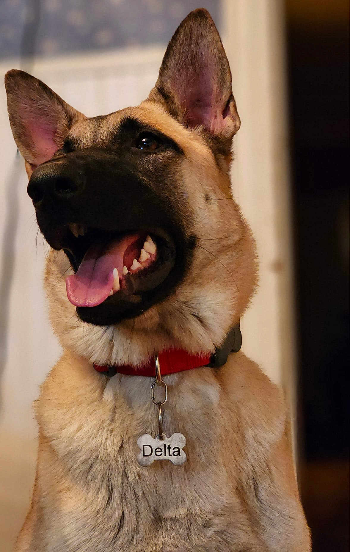 Delta
