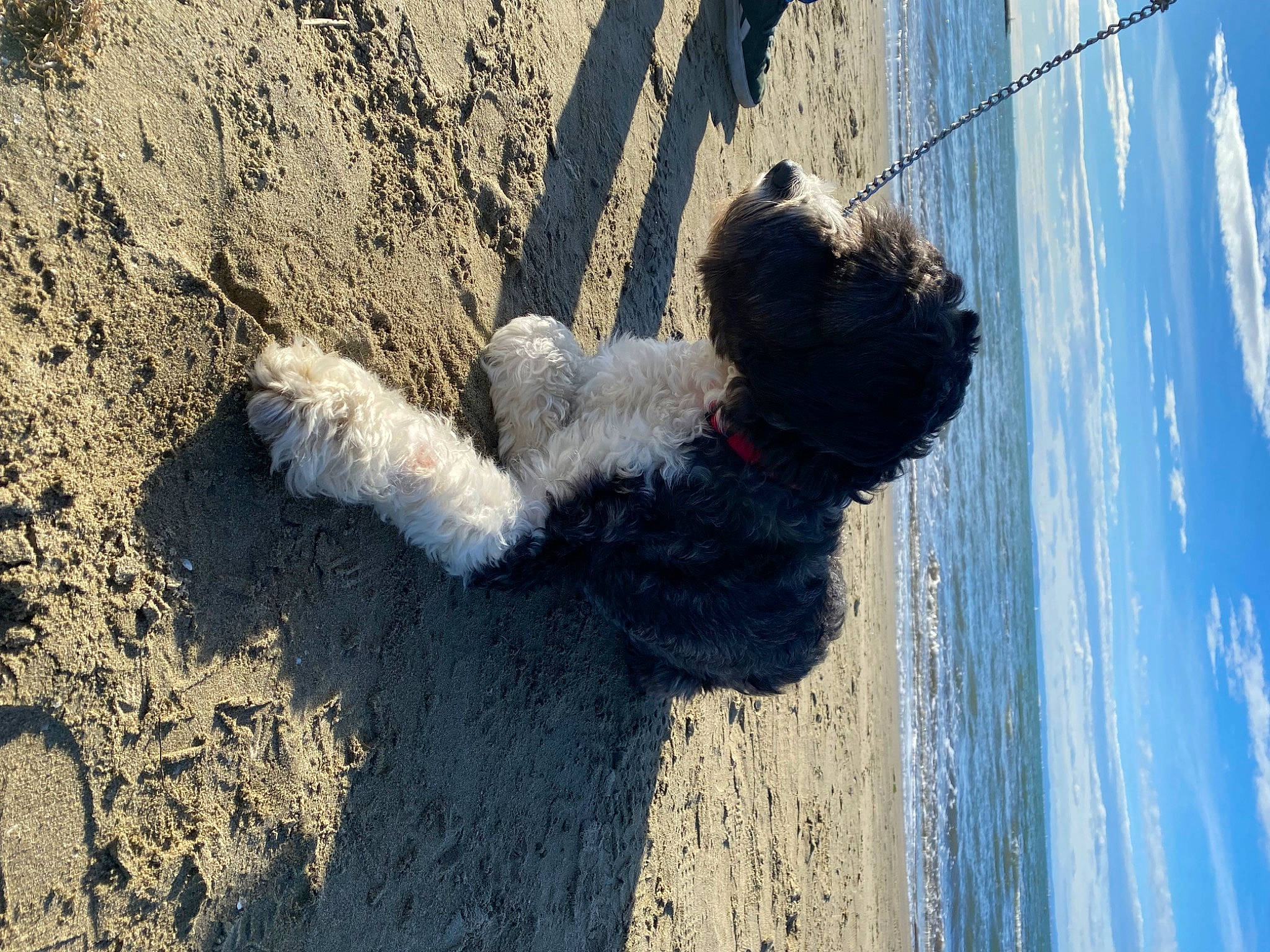 Joy a rejoint le concours — aidez-le/la à gagner de superbes lots ! azure, beach, cloud, composite_material, concrete, electric_blue, freezing, fun, landscape, rope, sand, shadow, sky, soil, water, wind_wave, window, winter