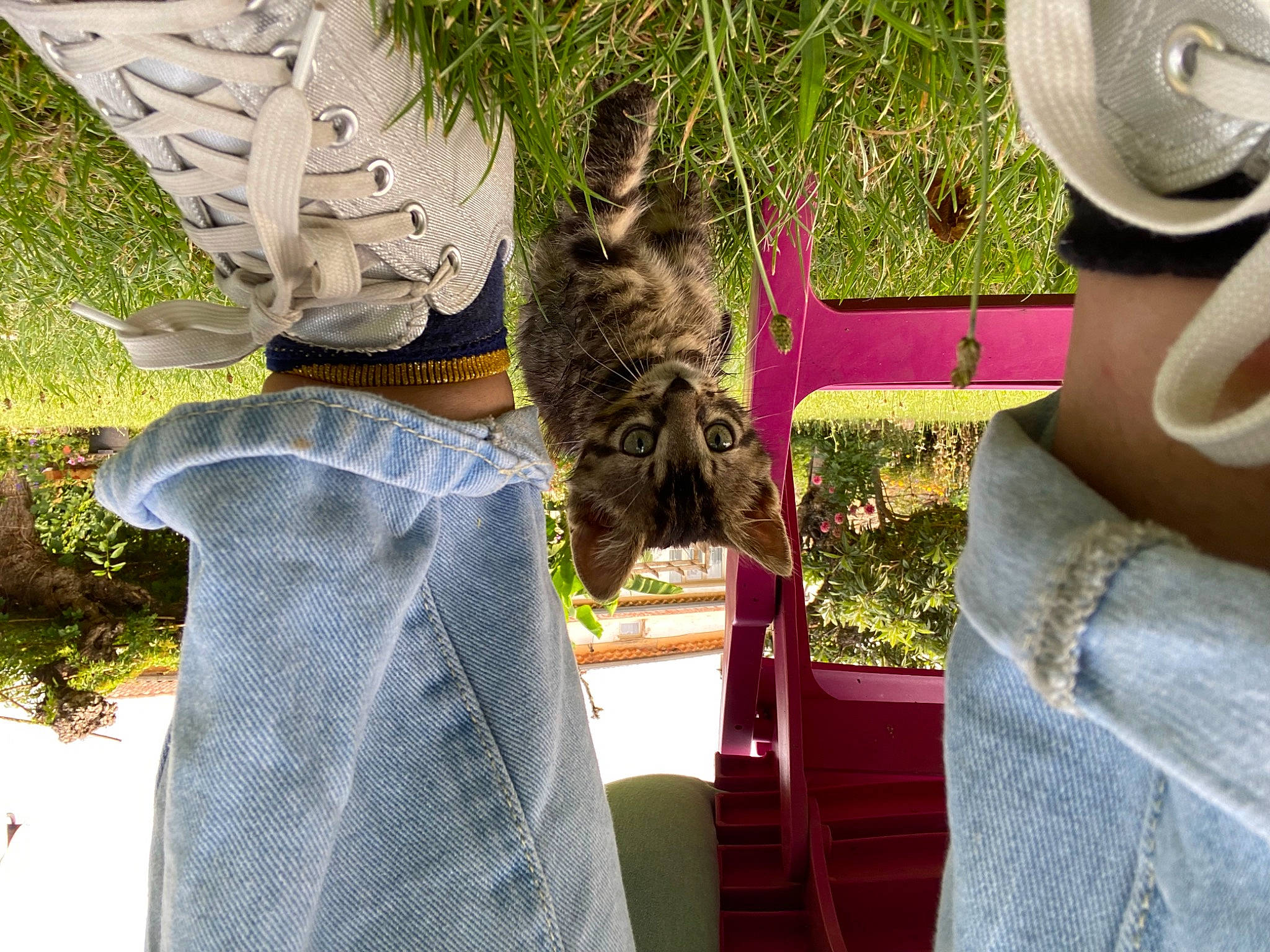 Anatole participe au concours pour gagner de l'argent avec cette photo : black_cat, carnivore, cat, domestic_short_haired_cat, fashion_accessory, fawn, felidae, fur, grass, hat, human_leg, pattern, plant, small_to_medium_sized_cats, sporting_group, sun_hat, tail, terrestrial_animal, textile, whiskers