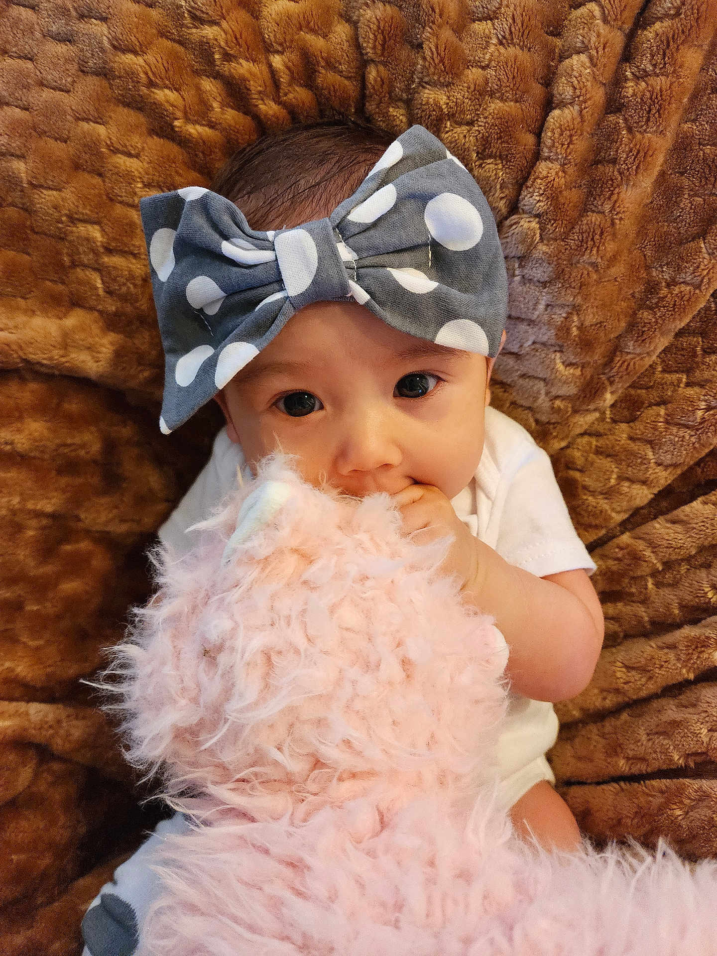 Lily joined the competition — help win amazing prizes! baby, child, infant, bow, headband, polka_dot, stuffed_animal, plush_toy, blanket, brown, pink, soft, cute, cuddling, lying_down, close_up, portrait, indoors, hand, eyes