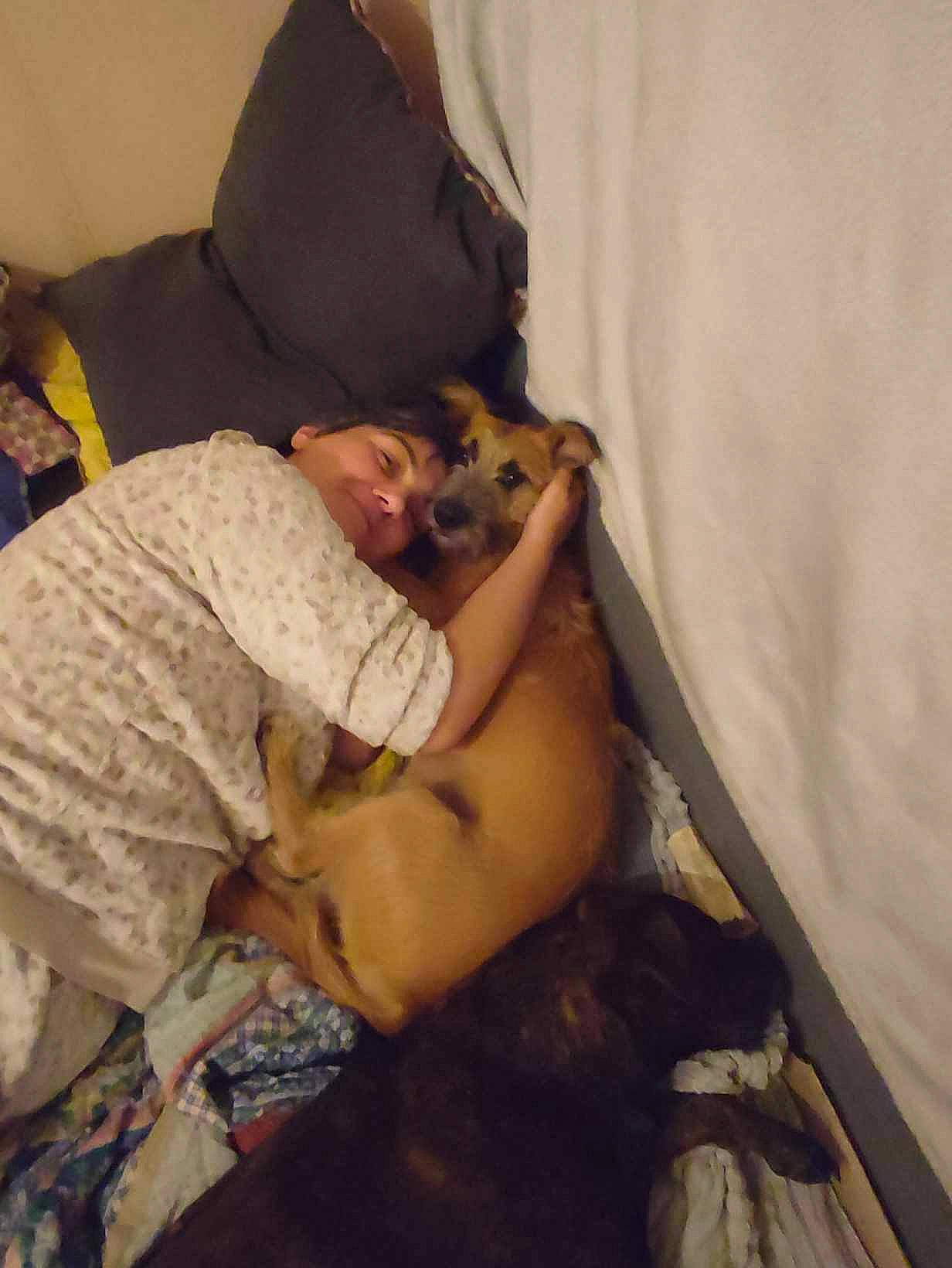 Nala a rejoint le concours — aidez-le/la à gagner de superbes lots ! abdomen, bed, bed_sheet, bedding, bedroom, bedtime, carnivore, comfort, companion_dog, dog_breed, elbow, fawn, felidae, fun, human_leg, lap, linens, sitting, small_to_medium_sized_cats, thigh