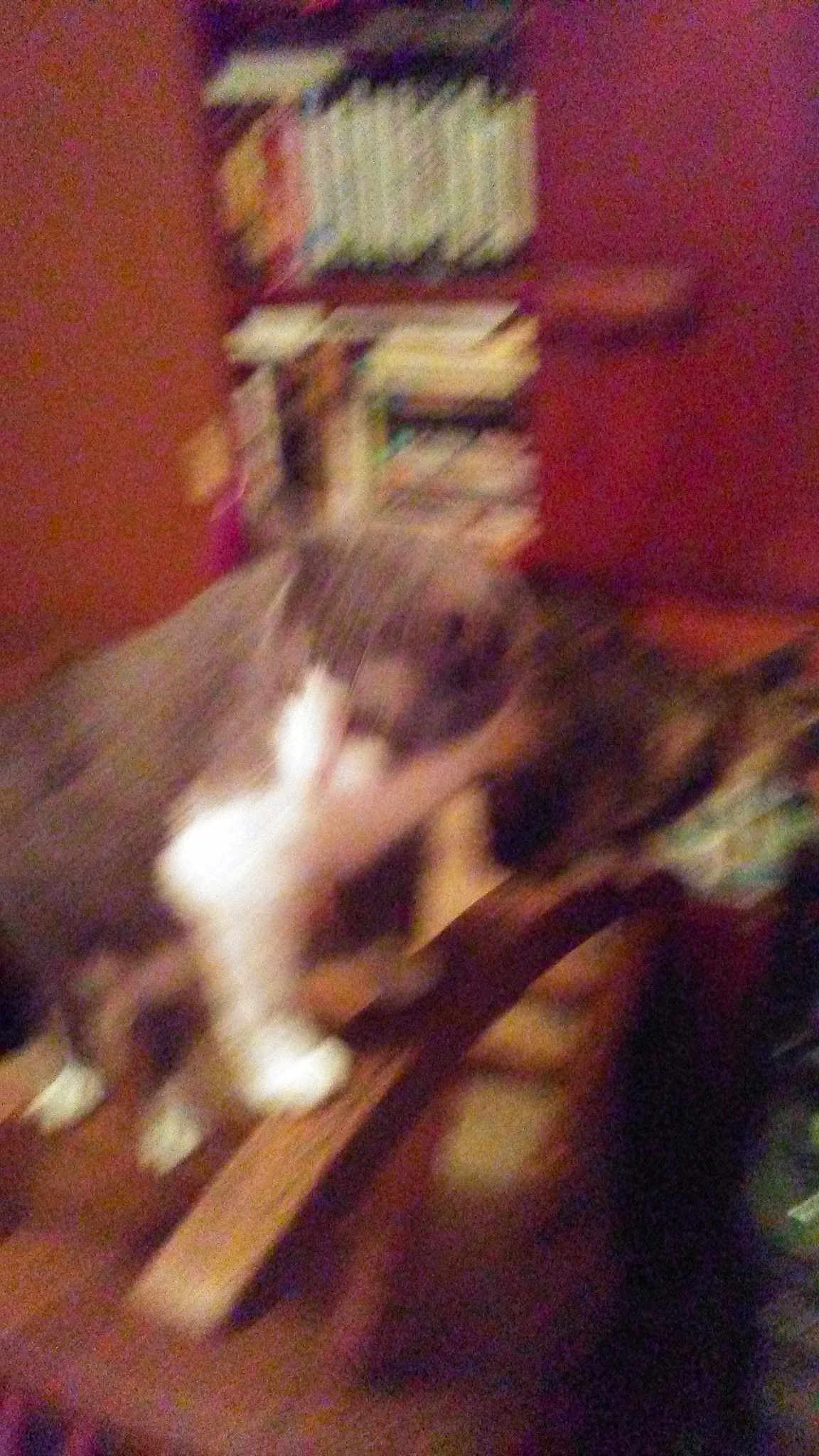 Munckin And Frisky