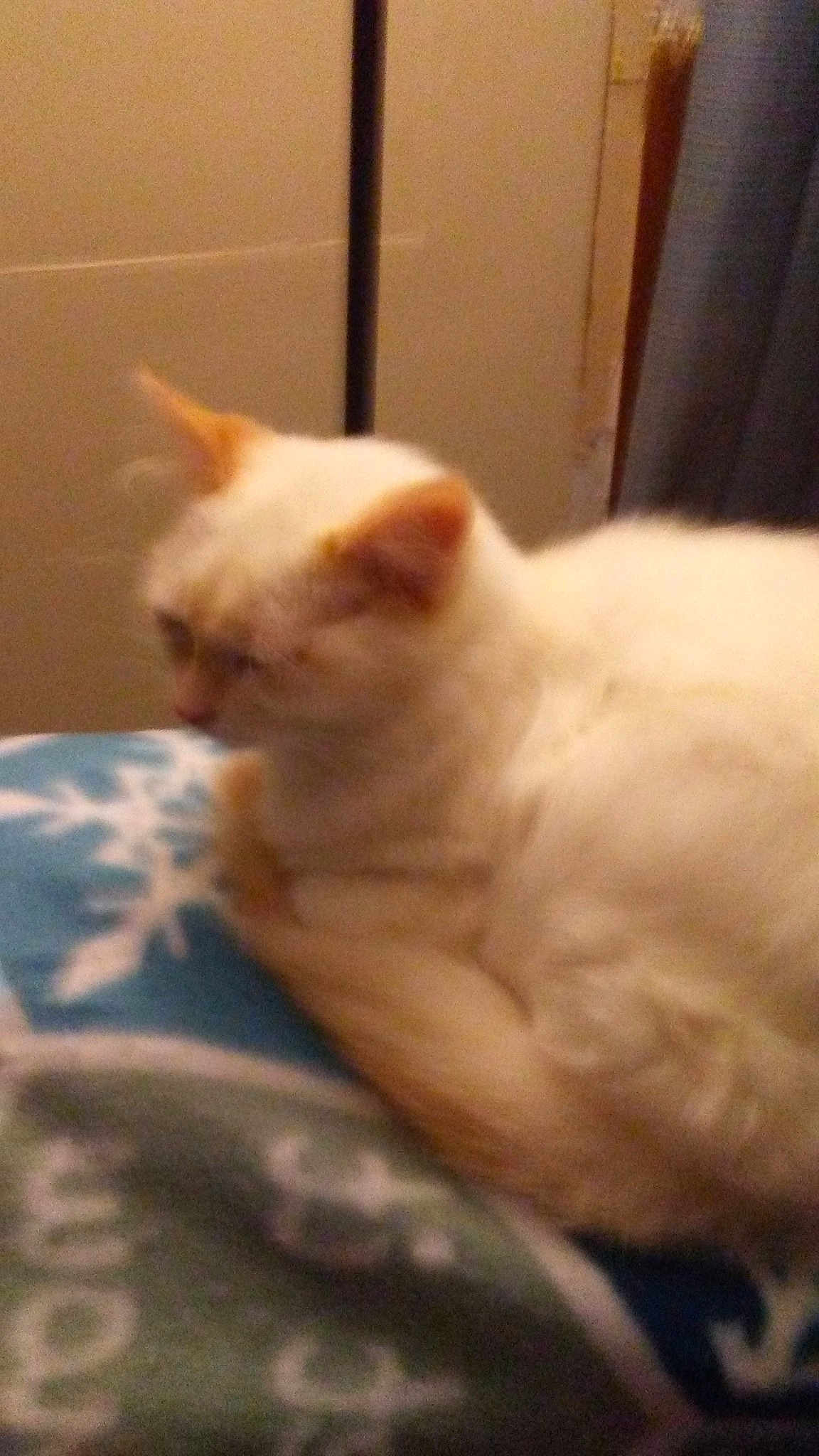 Puffy