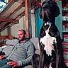 Viktor a rejoint le concours — aidez-le/la à gagner de superbes lots ! man, dog, great_dane, couch, indoor, relaxed, attic, wooden_beams, bottles, glassware, casual_clothing, seated, pet, companion, furniture, leisure, indoors, black_and_white_dog, beard, hoodie