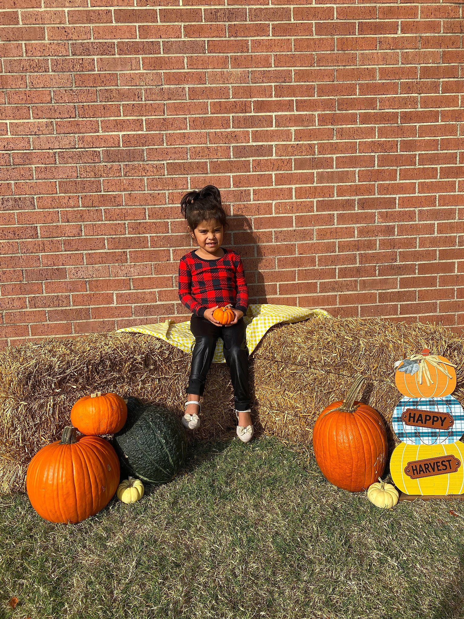 Stormi joined the competition — help win amazing prizes! agriculture, brick, brickwork, calabaza, cucurbita, gourd, grass, human_body, joy, local_food, natural_foods, orange, people_in_nature, person, plant, pumpkin, squash, toddler, vegetable, window