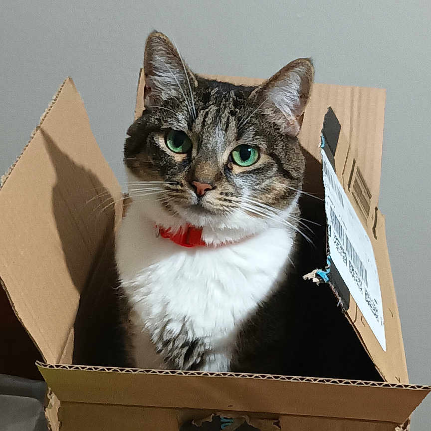 Leila