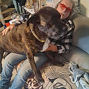 Doug a rejoint le concours — aidez-le/la à gagner de superbes lots ! animal, blanket, brown, casual, chain_collar, couch, decor, dog, furniture, glasses, home, indoor, jeans, lap, person, pet, plaid_shirt, relaxing, seated, smiling