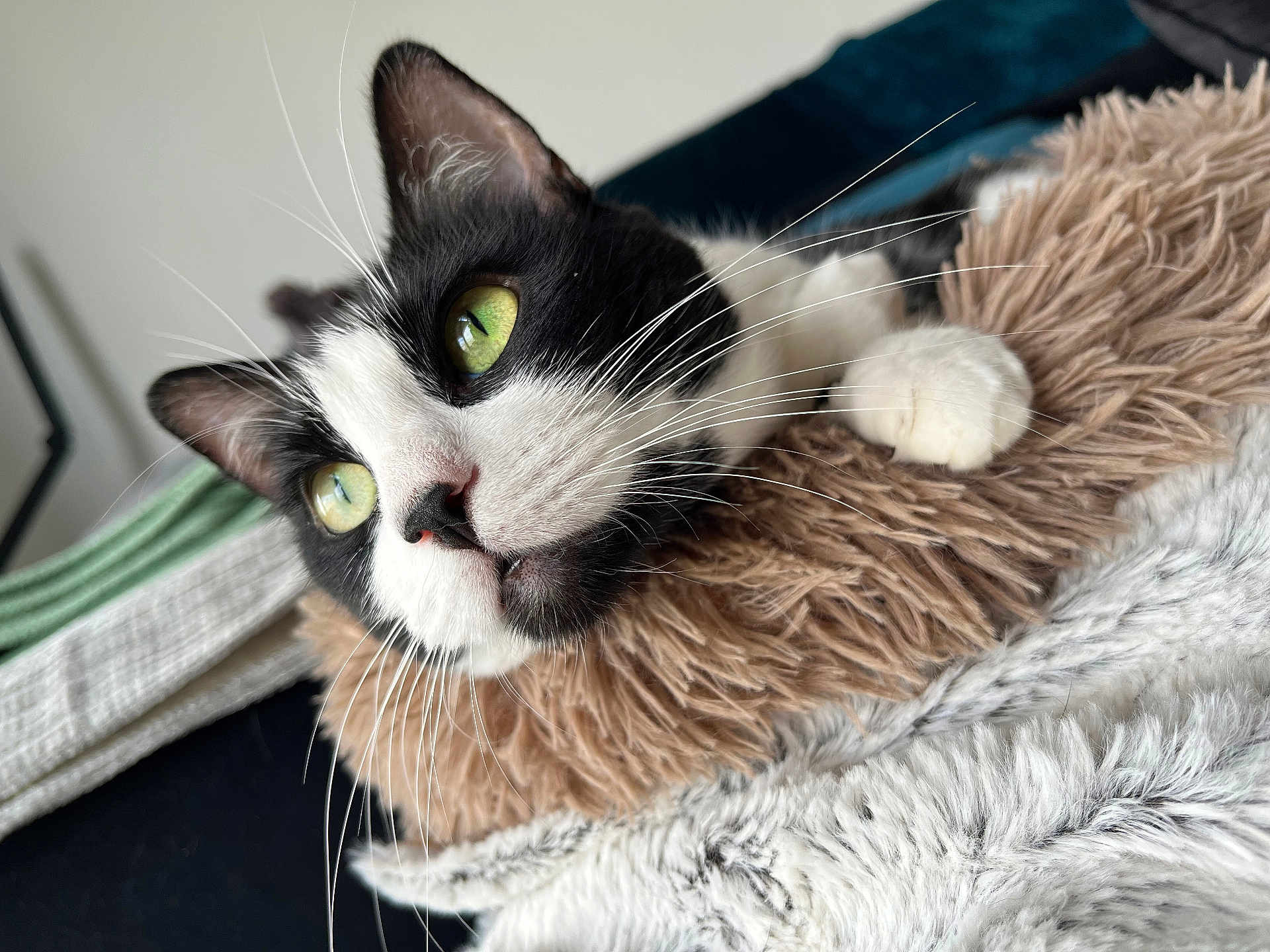 Nala