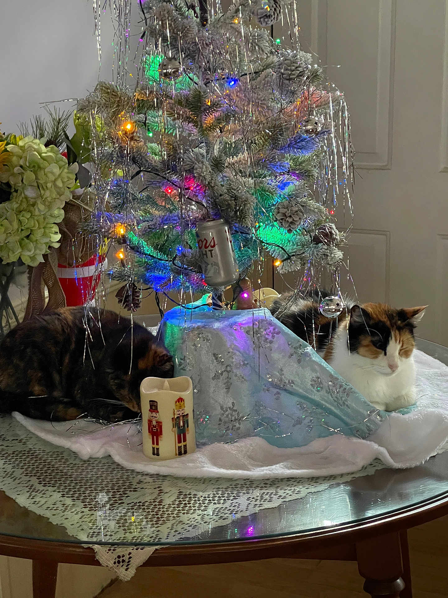 Astro And Miss Kitty is registered to the contest to win money with this photo: cat, christmas_tree, holiday_decor, tinsel, lights, table, glass_table, lace_cloth, candle, nutcracker, indoor, feline, decorations, pine_cones, calm, resting, festive, home_decor, colorful, ornaments