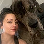 Clyde joined the competition — help win amazing prizes! woman, dog, great_dane, pet, portrait, indoor, face, closeup, snuggle, companion, friendship, animal, human, casual, black_tank_top, tattoo, piercing, relaxed, cute, love