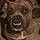 Bruno