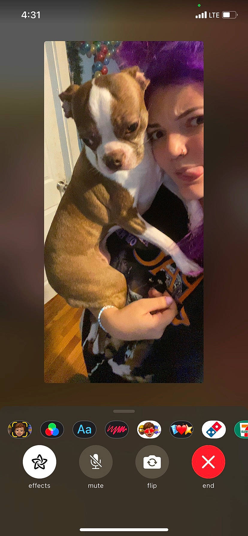 Nala is registered to the contest to win money with this photo: animation, art, boston_terrier, bulldog, carnivore, companion_dog, dog, dog_breed, fawn, fictional_character, font, formal_wear, fur, photo_caption, photograph, screenshot, snapshot, suit, toy_dog, working_animal