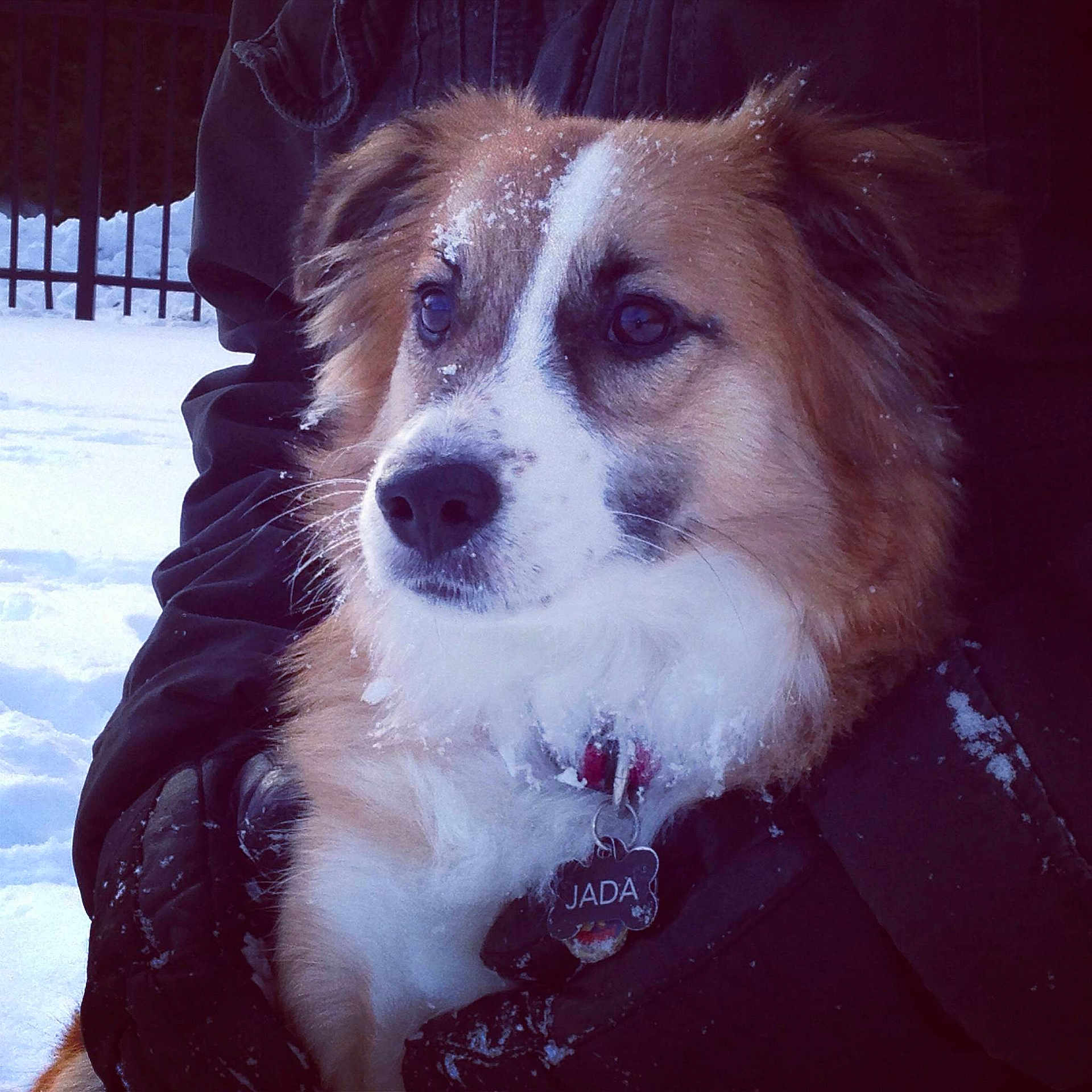 Jada is registered to the contest to win money with this photo: