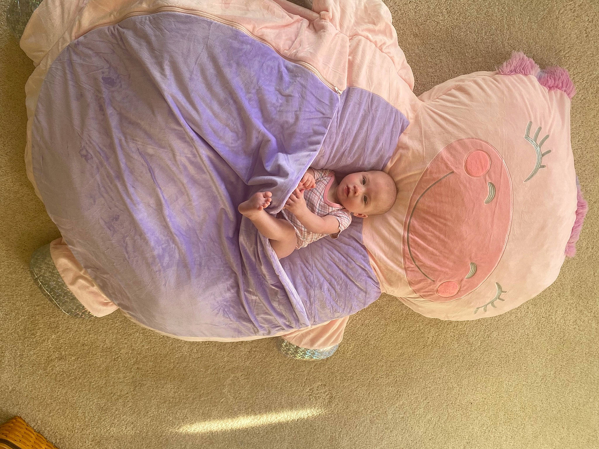 Jolene is registered to the contest to win money with this photo: baby, baby_products, baby_toddler_clothing, bedtime, child, comfort, flooring, human_body, linens, magenta, nap, person, purple, room, sitting, sleep, sleeve, sock, textile, toddler