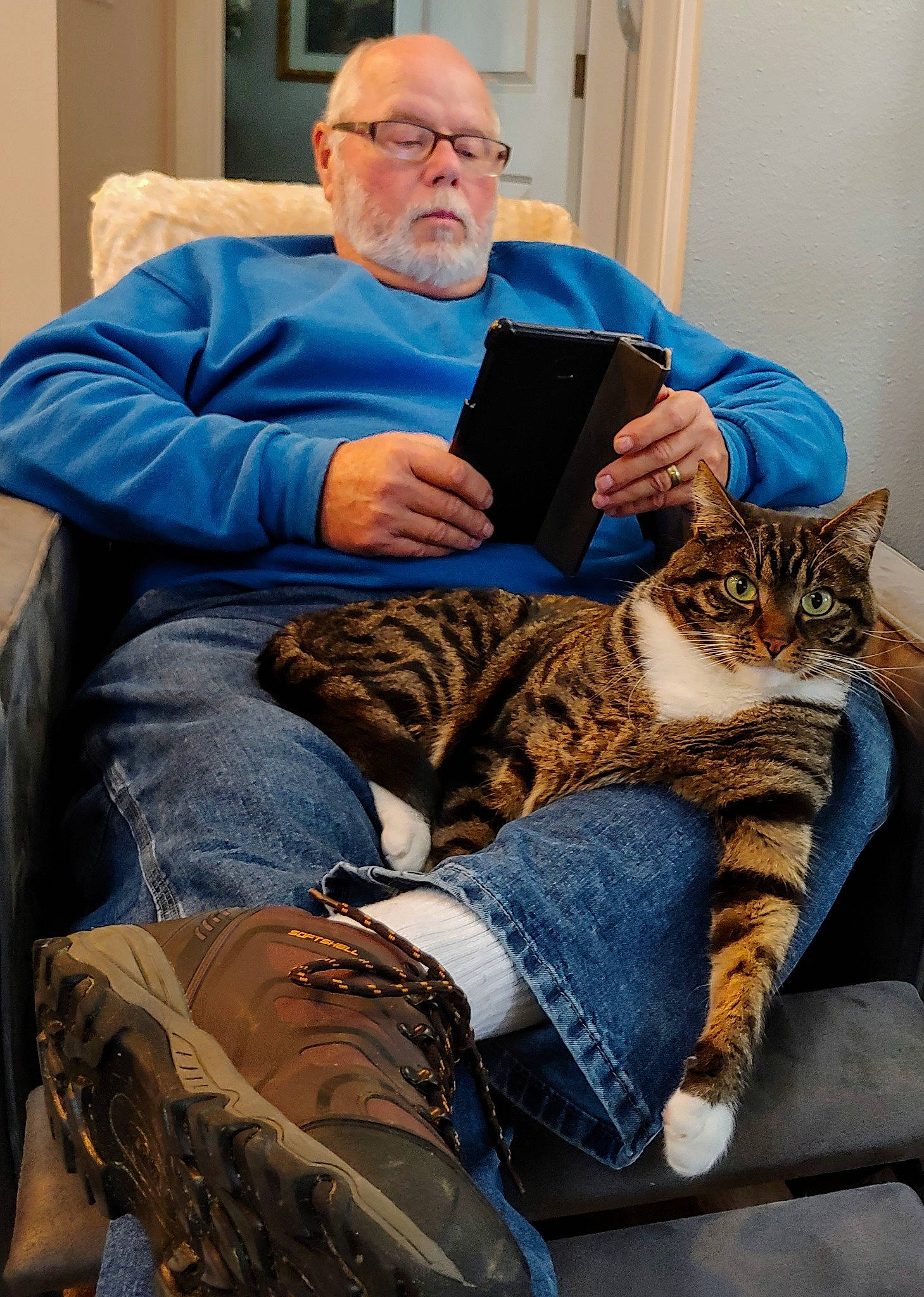 Harley is registered to the contest to win money with this photo: carnivore, cat, chair, comfort, domestic_short_haired_cat, eye, eyewear, fawn, felidae, flooring, fur, human_leg, jeans, lap, leg, mammal, sitting, small_to_medium_sized_cats, whiskers, wood