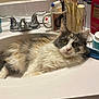 cat, sink, bathroom, fur, yellow_eyes, makeup_brushes, toiletries, mug, comb, countertop, faucet, white_sink, curious, relaxed, indoor, pet, domestic_animal, multicolored, fluffy, resting