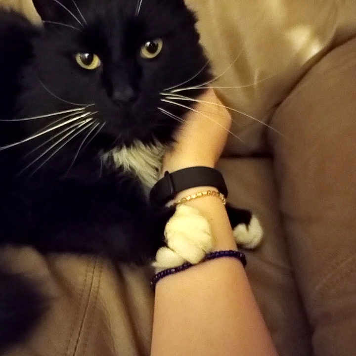Sox