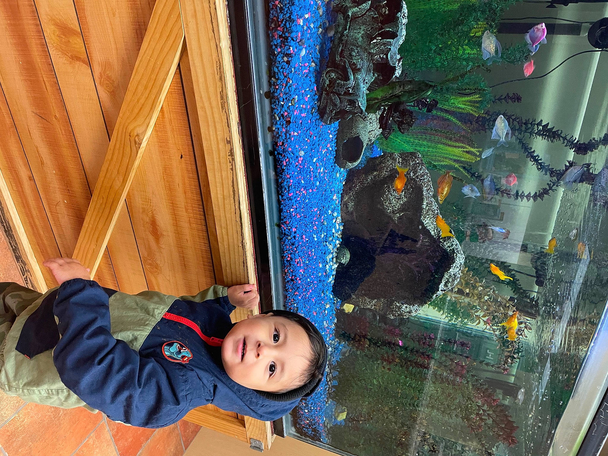 Christian is registered to the contest to win money with this photo: art, child, electric_blue, fun, glass, graphics, leisure, net, pattern, person, play, room, textile, toddler, tree, vehicle_door, visual_arts, wood, world