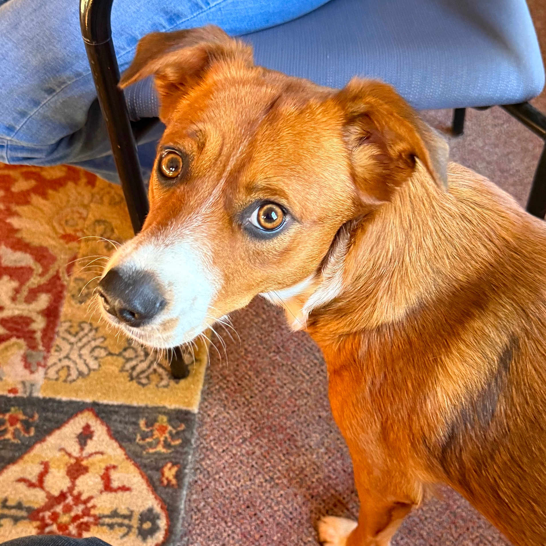 Zoe