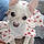 Gracie Lou