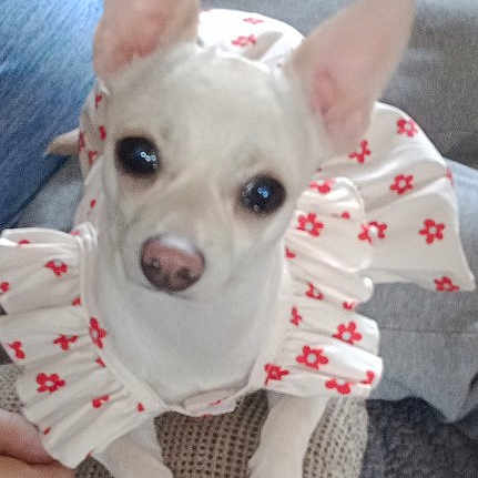 Gracie Lou