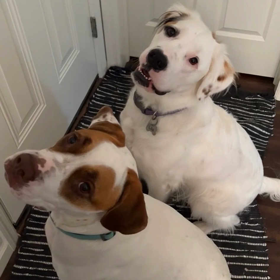 Lila And Willow