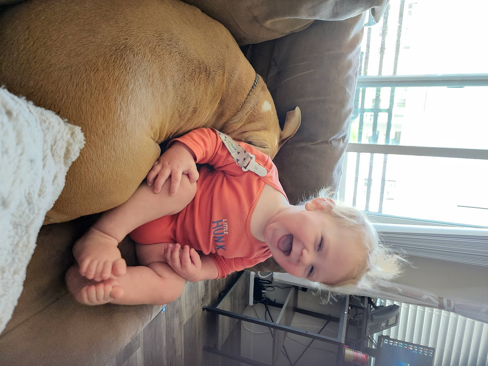 Castiel joined the competition — help win amazing prizes! abdomen, baby, baby_products, baby_toddler_clothing, child, comfort, dress, elbow, glasses, happy, human_leg, joint, knee, person, sitting, skin, smile, thigh, toddler, trunk