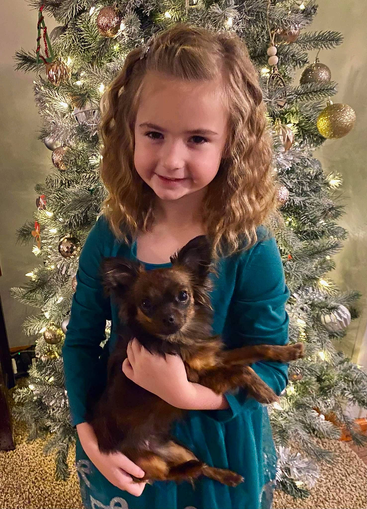 Briella is registered to the contest to win money with this photo: beauty, christmas_decoration, christmas_ornament, christmas_tree, companion_dog, dog_breed, evergreen, facial_expression, fawn, hairstyle, happy, head, holiday, holiday_ornament, joy, long_hair, mammal, ornament, person, photograph