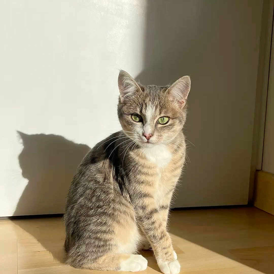 Yumi