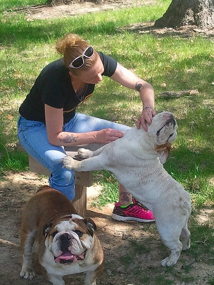 Valerie is registered to the contest to win money with this photo: baseball_cap, bulldog, canidae, carnivore, companion_dog, dog, dog_breed, eyewear, fawn, fun, goggles, grass, hat, leash, non_sporting_group, snout, sporting_group, sunglasses, tail, terrestrial_animal