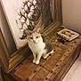 Matsa participe au concours pour gagner de l'argent avec cette photo : cat, wooden_chest, painting, notebook, indoor, floor, furniture, curious, animal, pet, cozy, decor, artwork, brown, white, calico, resting, home, tabletop, still_life