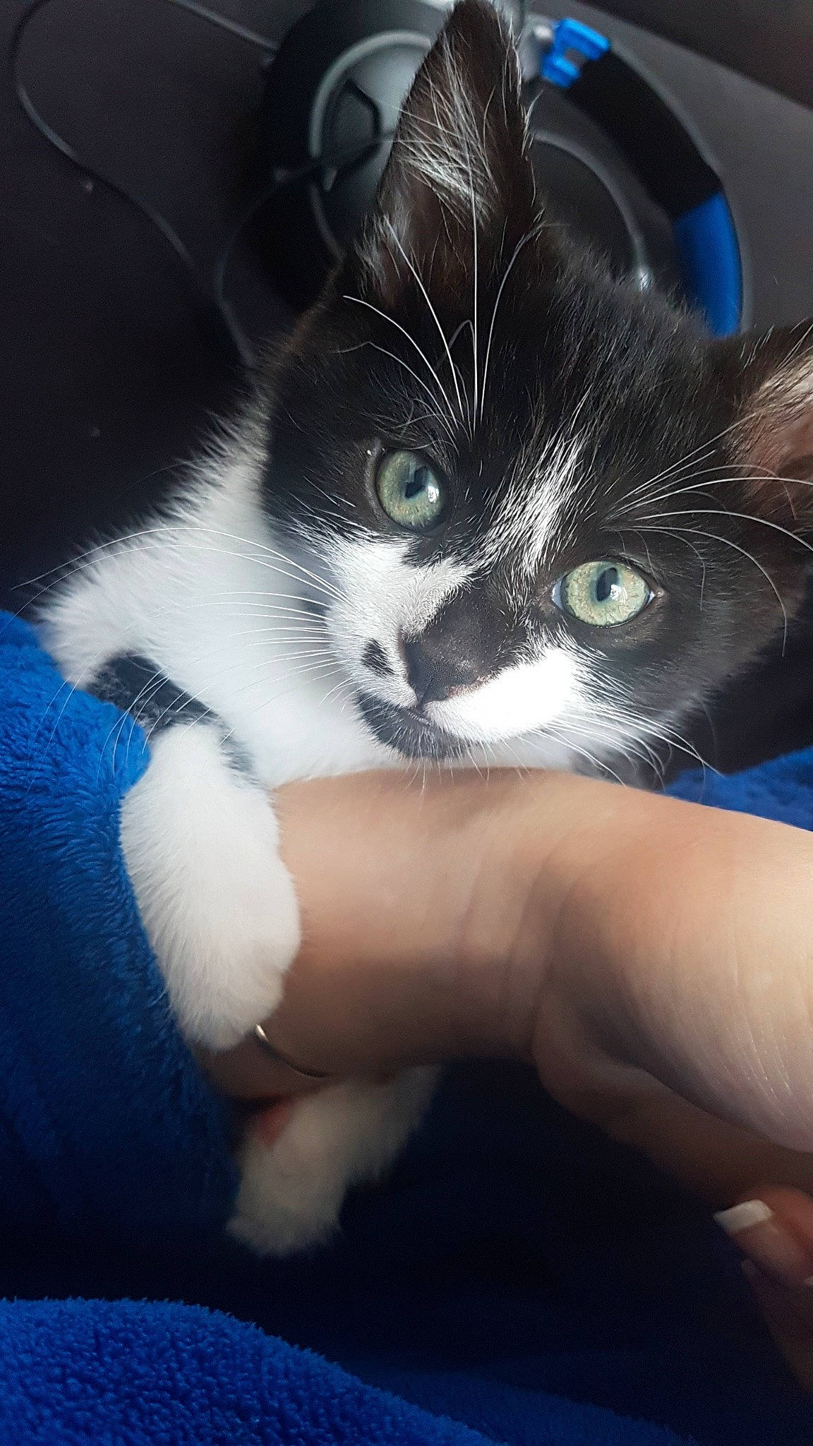 Pixel
