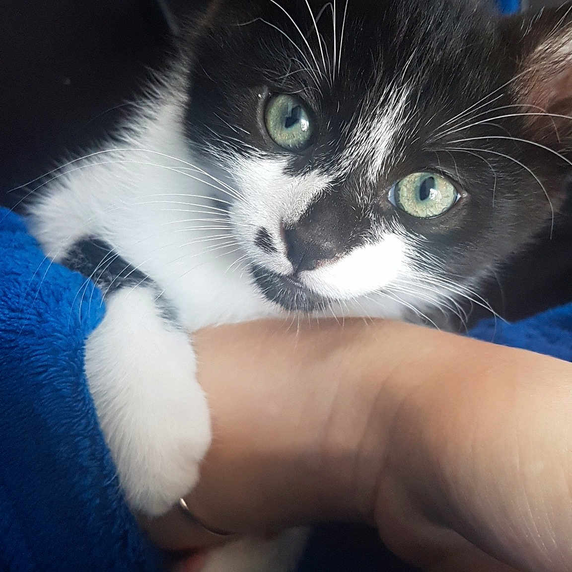 Pixel