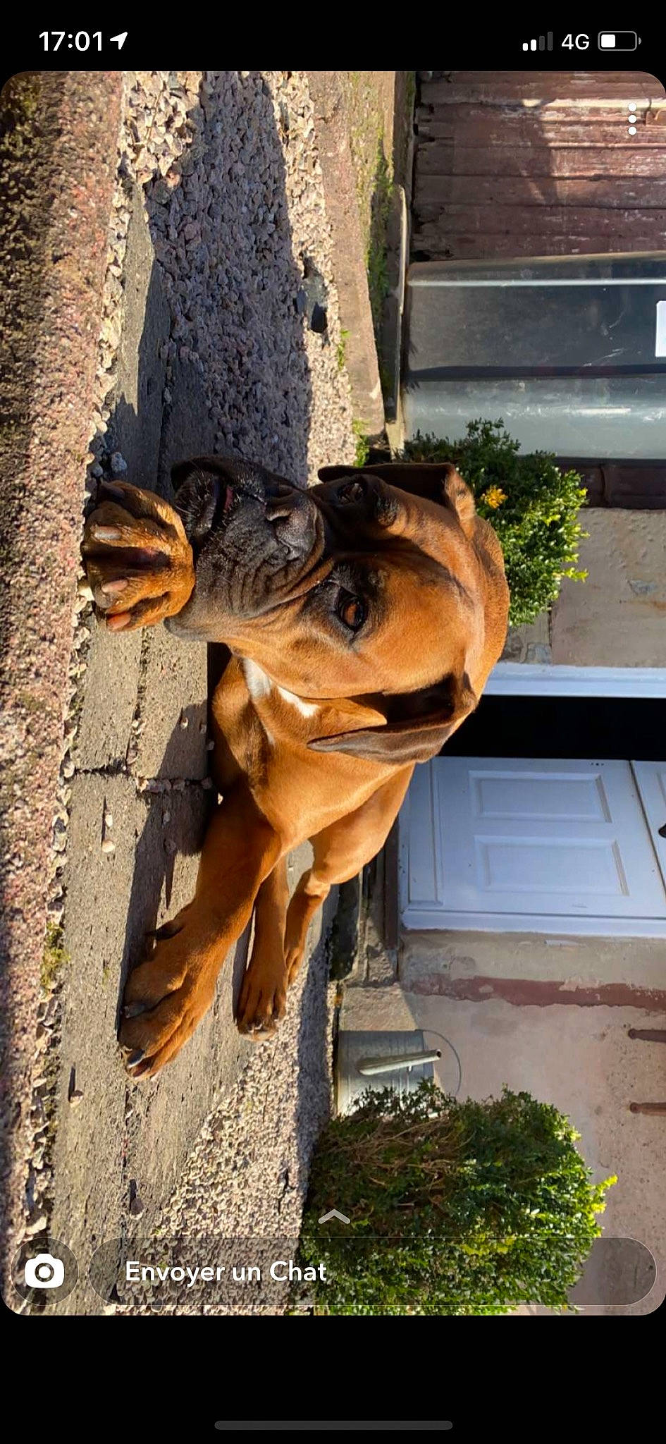 Laya participe au concours pour gagner de l'argent avec cette photo : art, artifact, bronze_sculpture, chainsaw_carving, door, facade, fawn, gargoyle, grass, human_leg, metal, monument, plant, sculpture, snout, statue, temple, visual_arts, wood, working_animal