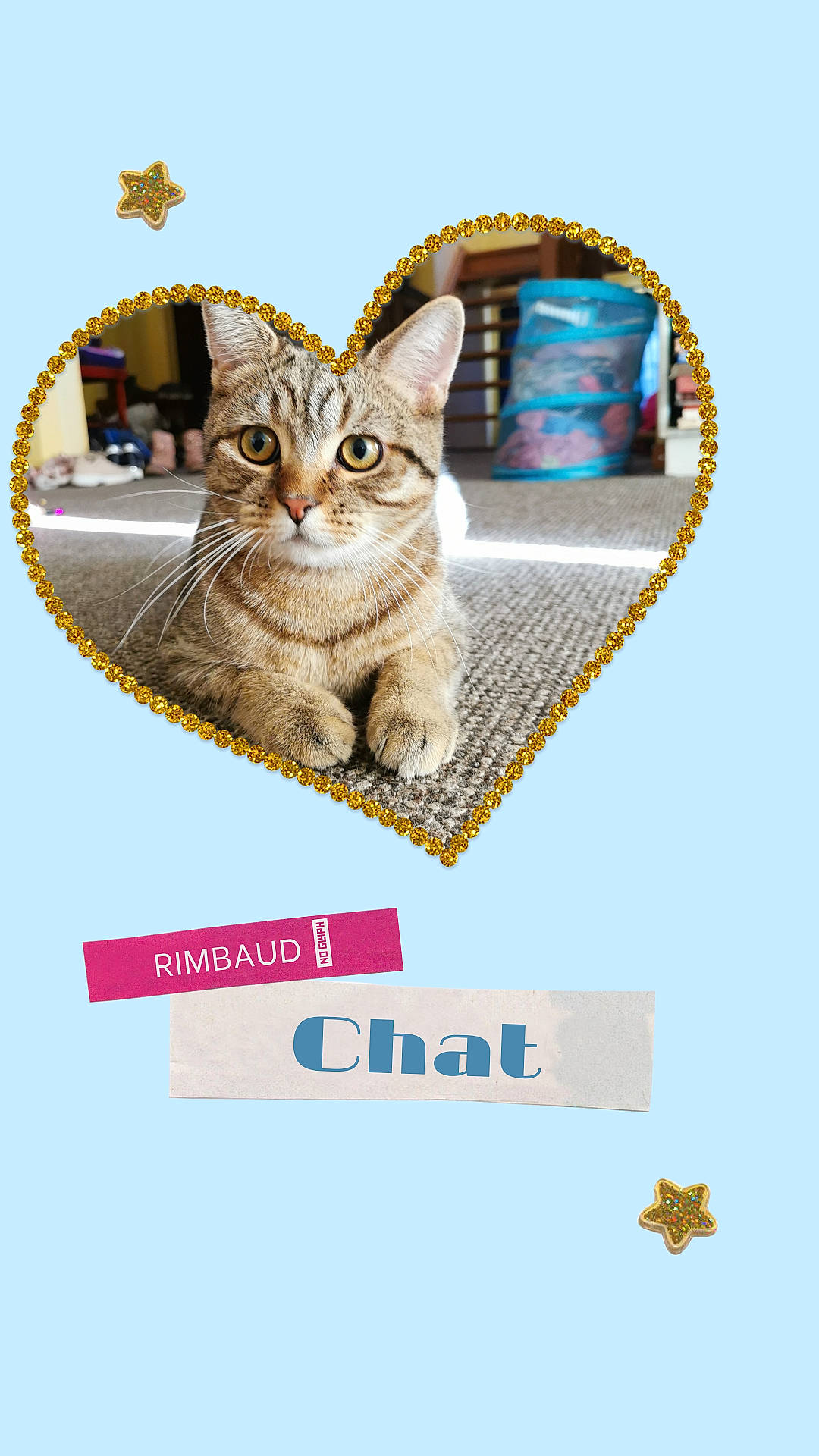 Rimbaud a rejoint le concours — aidez-le/la à gagner de superbes lots ! advertising, carnivore, cat, cat_supply, collar, event, fashion_accessory, felidae, font, fur, graphics, internet_meme, organism, pet_supply, photo_caption, rectangle, small_to_medium_sized_cats, whiskers, wildlife, yellow