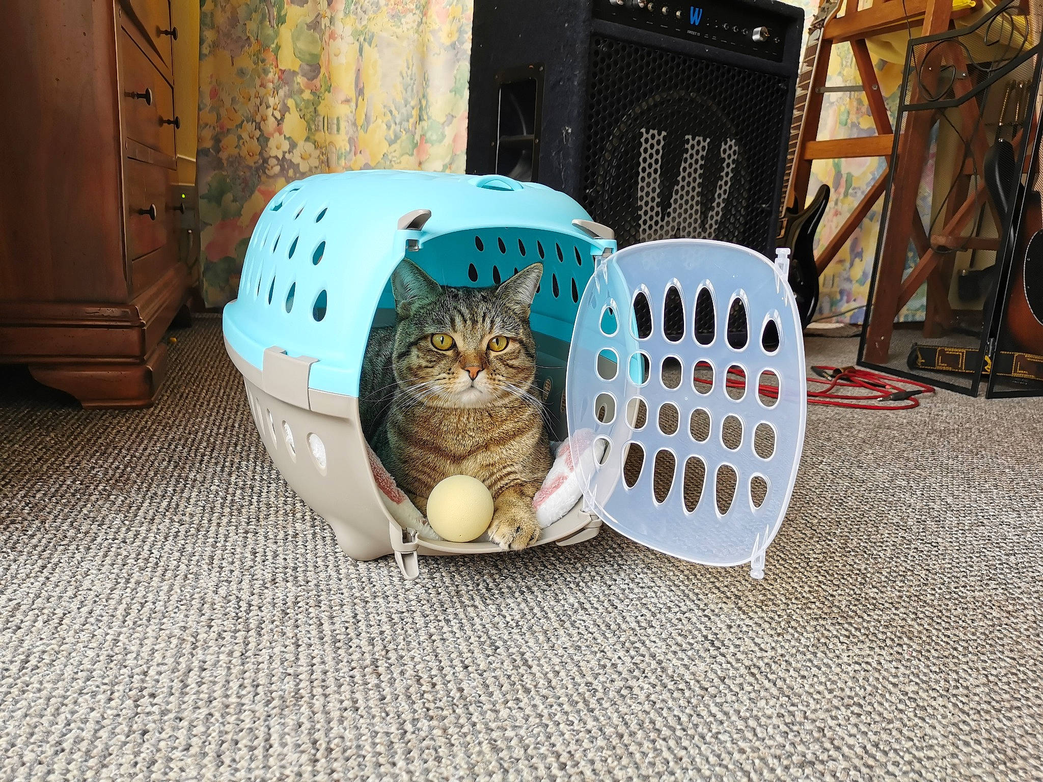 Rimbaud a rejoint le concours — aidez-le/la à gagner de superbes lots ! automotive_tire, bag, carnivore, cat, cat_supply, chair, comfort, domestic_short_haired_cat, drawer, felidae, floor, flooring, fur, hardwood, pattern, room, small_to_medium_sized_cats, tail, whiskers, wood