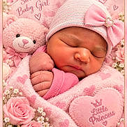 Isariyah is registered to the contest to win money with this photo: newborn, baby, sleeping, infant, portrait, pink, girl, hat, bow, blanket, teddy_bear, stuffed_animal, flowers, roses, butterfly, heart_pillow, nursery, close_up, peaceful, princess