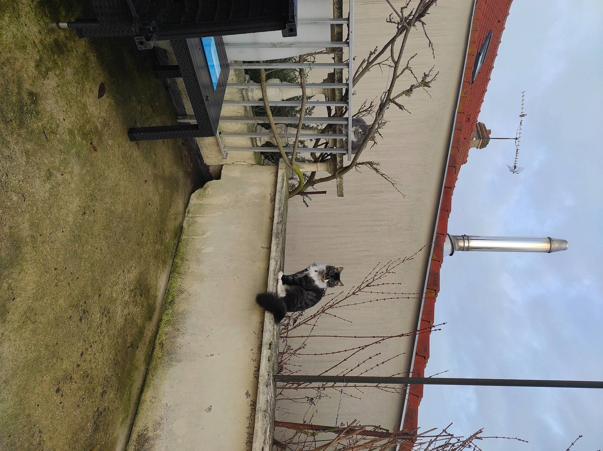 Stalone participe au concours pour gagner de l'argent avec cette photo : building, city, composite_material, concrete, electrical_supply, electrical_wiring, electricity, facade, house, line, metal, overhead_power_line, public_utility, road, sky, slope, stairs, urban_design, wire, wood