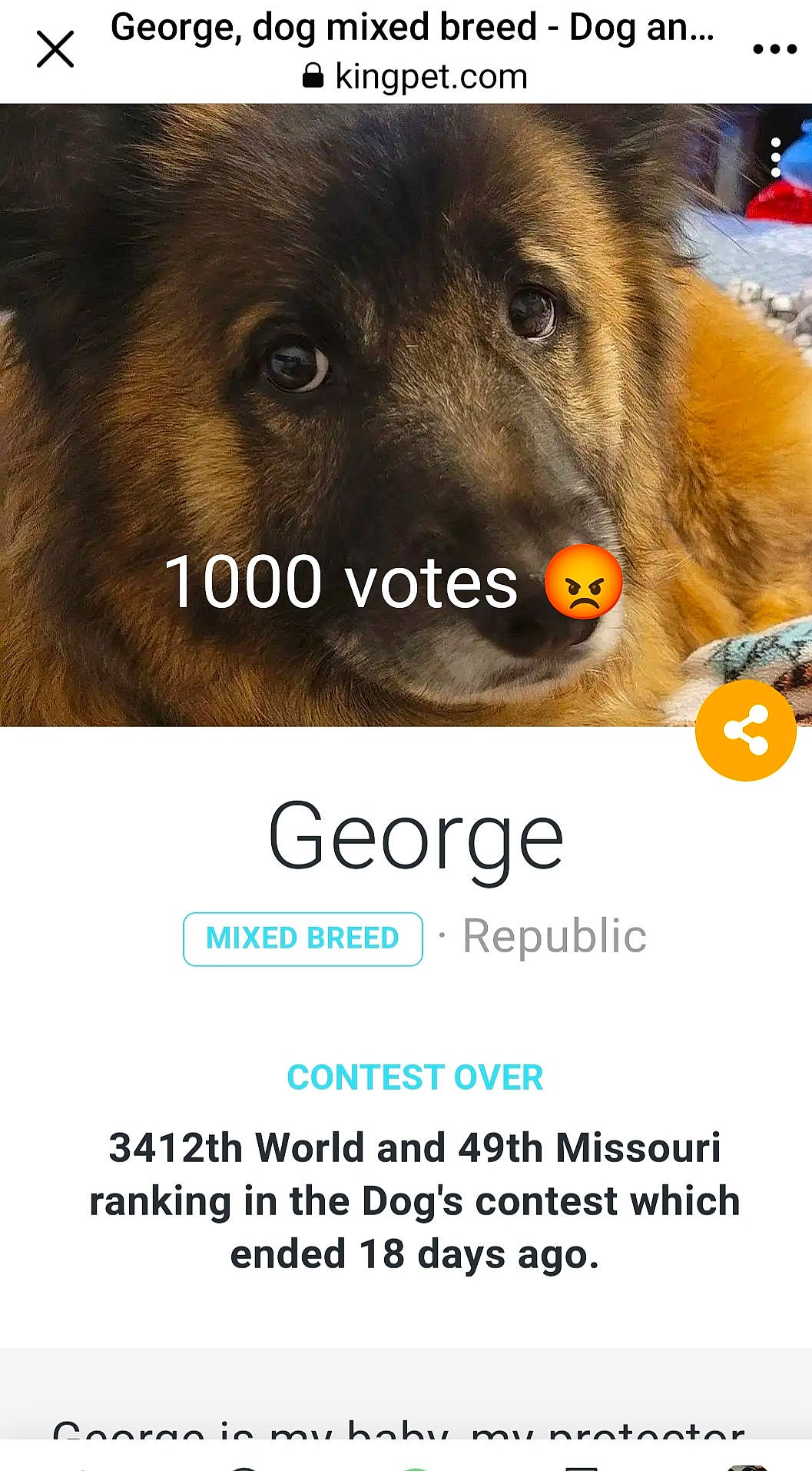 Swan participe au concours pour gagner de l'argent avec cette photo : advertising, carnivore, companion_dog, dog, dog_breed, dog_supply, font, fur, giant_dog_breed, liver, paw, pet_supply, photo_caption, screenshot, sporting_group, terrestrial_animal, whiskers, wildlife, working_animal, working_dog