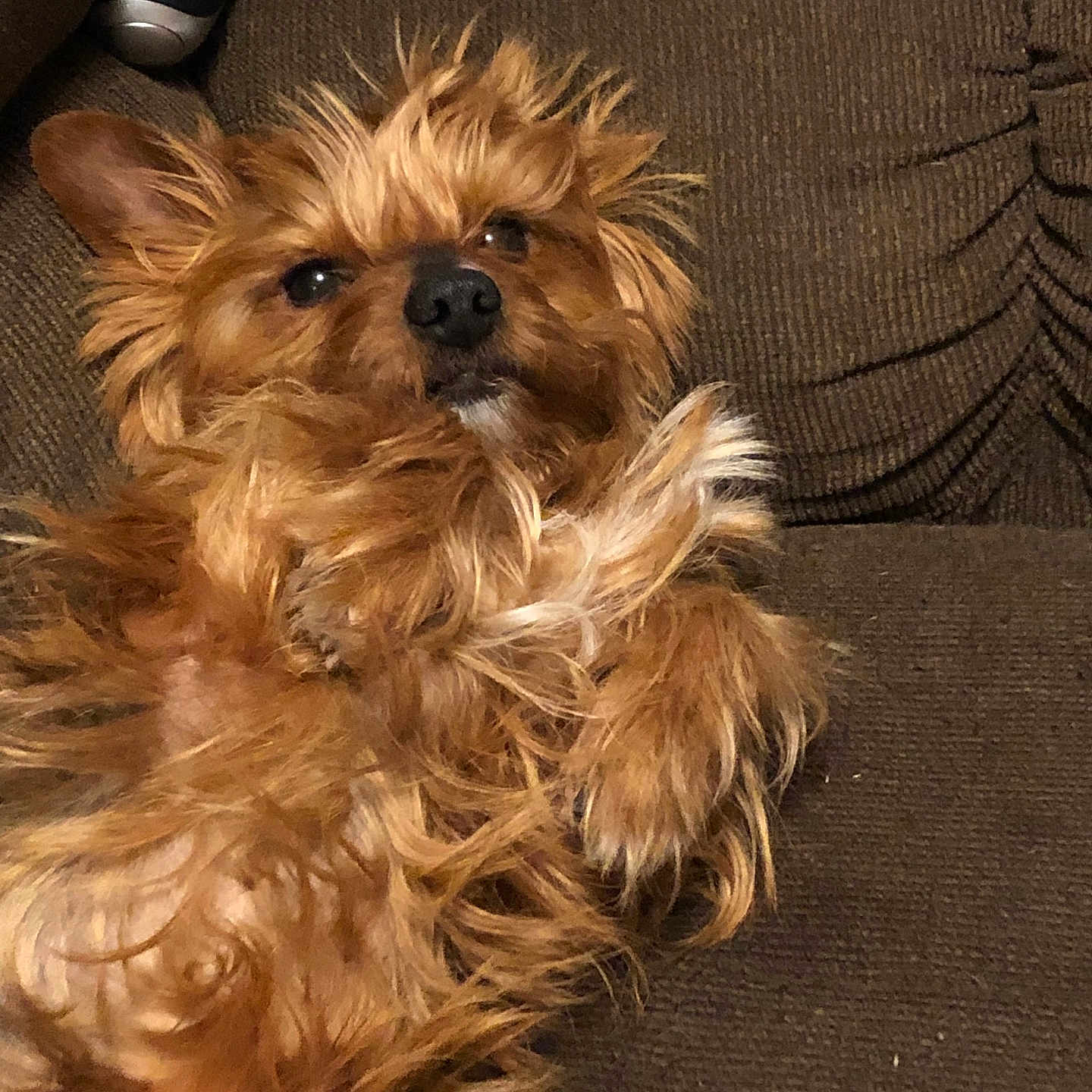 Benny
