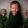 newborn, baby, swaddled, blanket, sleeping, plush_toy, lion_toy, bear_toy, greenery, leaves, nature_theme, portrait, peaceful, infant, cute, soft_light, indoors, resting, child, adorable
