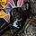 Spot