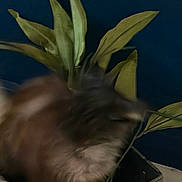 Destiny is registered to the contest to win money with this photo: