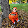 baby, infant, child, pumpkin, halloween, costume, autumn, fall, outdoor, park, tree, leaves, smiling, sitting, portrait, milestone, five_months, orange, green, seasonal