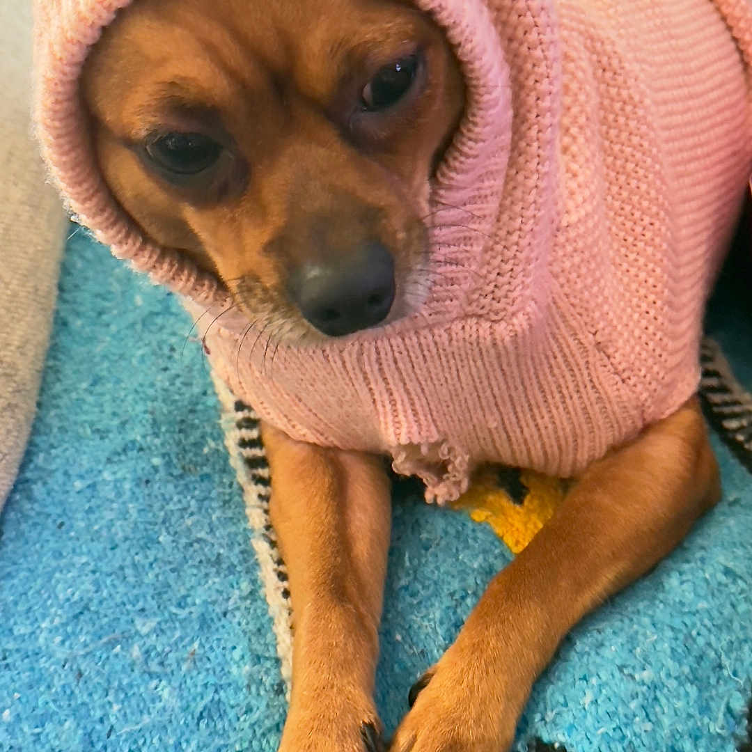 Coco